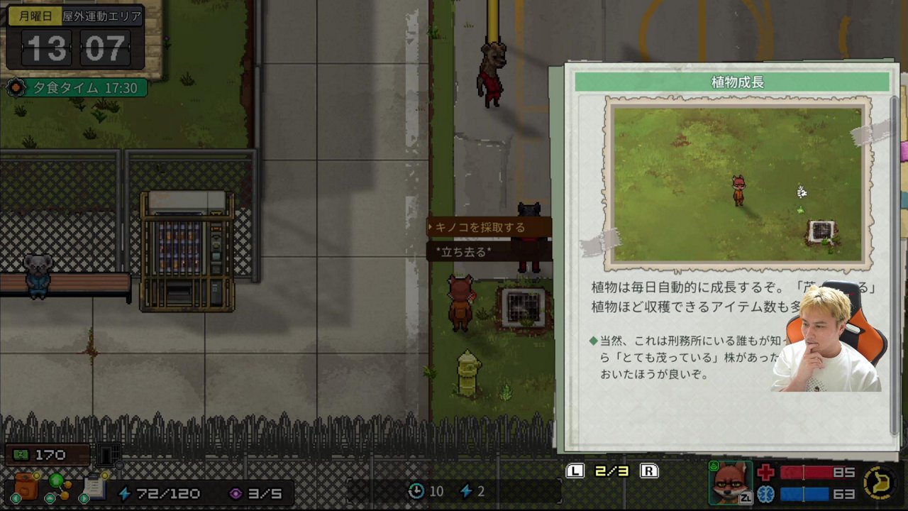 雑談→ｽﾄ６→なにかやる