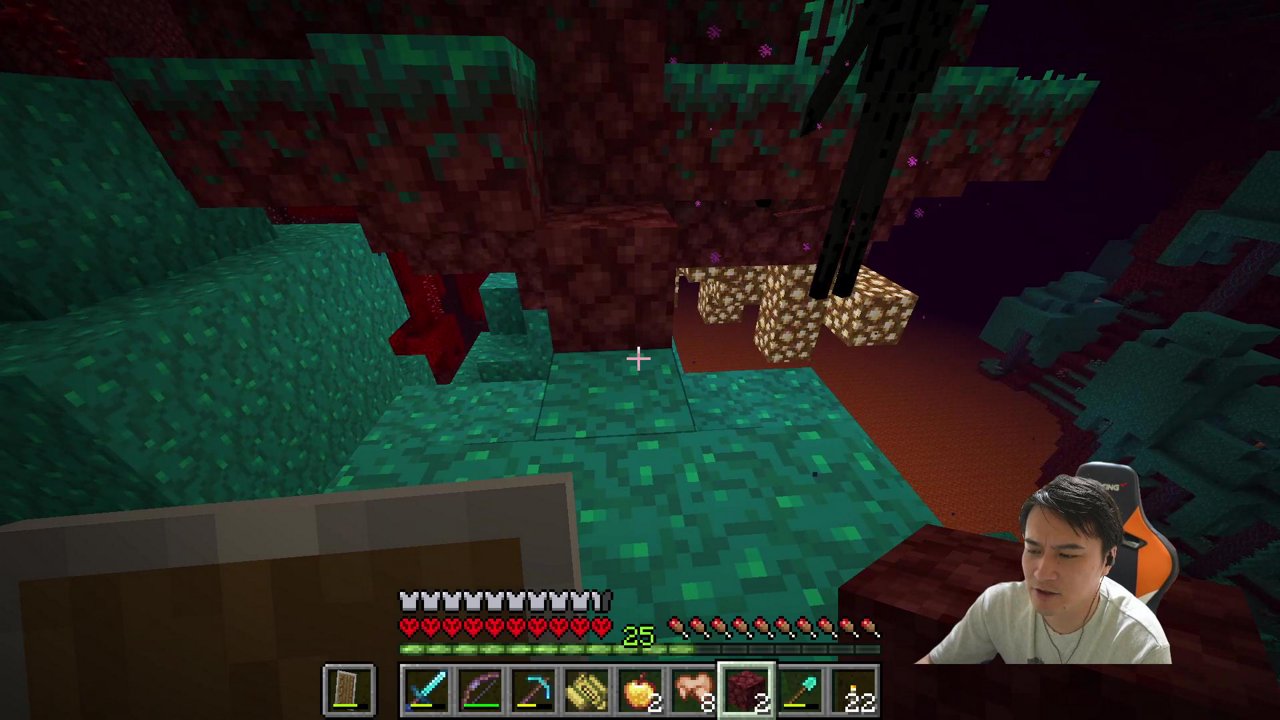 絶対ハードコアクリアする前人未到マインクラフト最終日～ネザー、エンダードラゴン編～