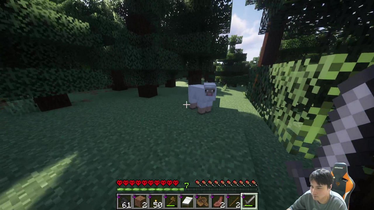 マイクラやRPGをやる人