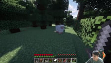 マイクラやRPGをやる人